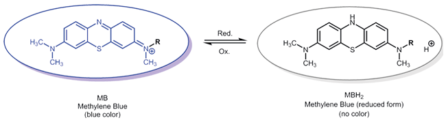 Oxidised and reduced form of Methylene Blue
