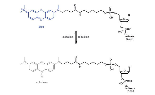 Oxidised and reduced form of Anthraquinone